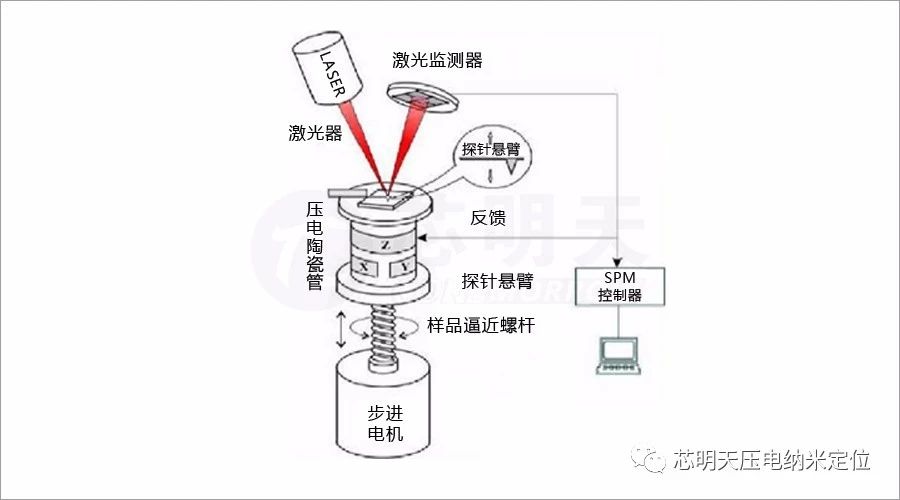 afm基本原理是什么_幸福是什么图片